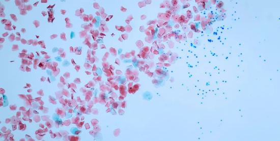 在河流与海洋中都能发现微塑料的身影&nbsp; 图 | zmescience