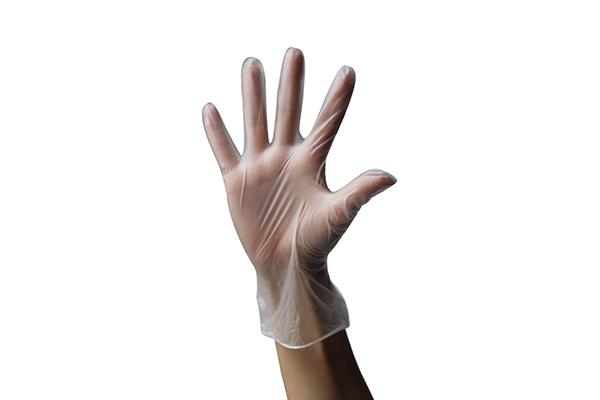 Disposable Vinyl Gloves Clear Color